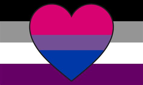 asexual biromantic|Biromantic Asexual